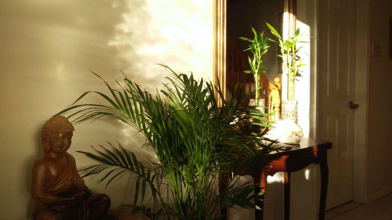 Burris Guest House Burnaby Buitenkant foto